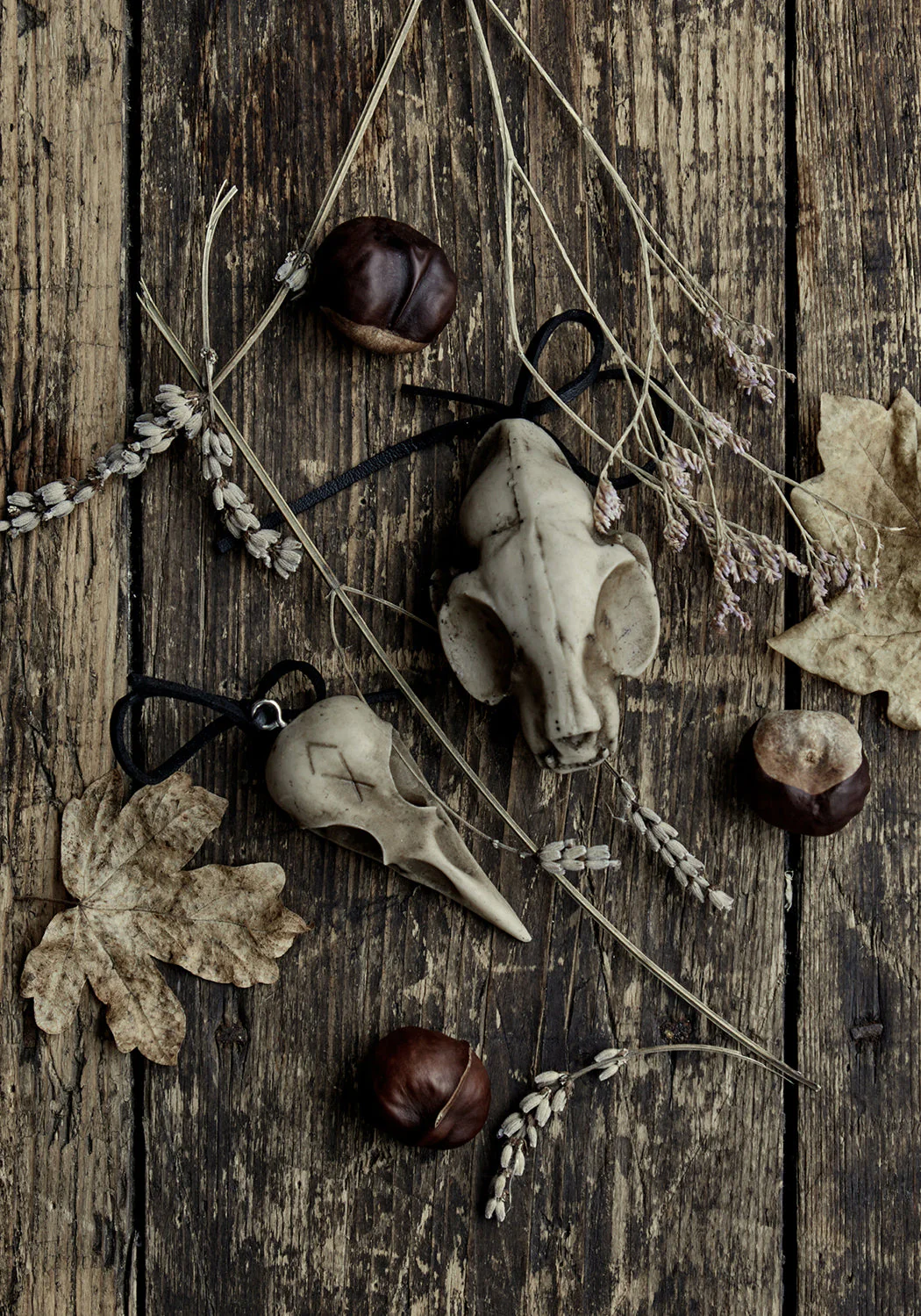 Cat Skull Offering - Image 3
